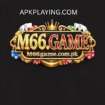 M66 Game