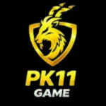 PK11 Game apk
