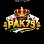 PAK75 Game